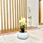 Апартаменты Rori House 1 Влёра