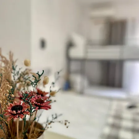 Apartament Rori House 1 *